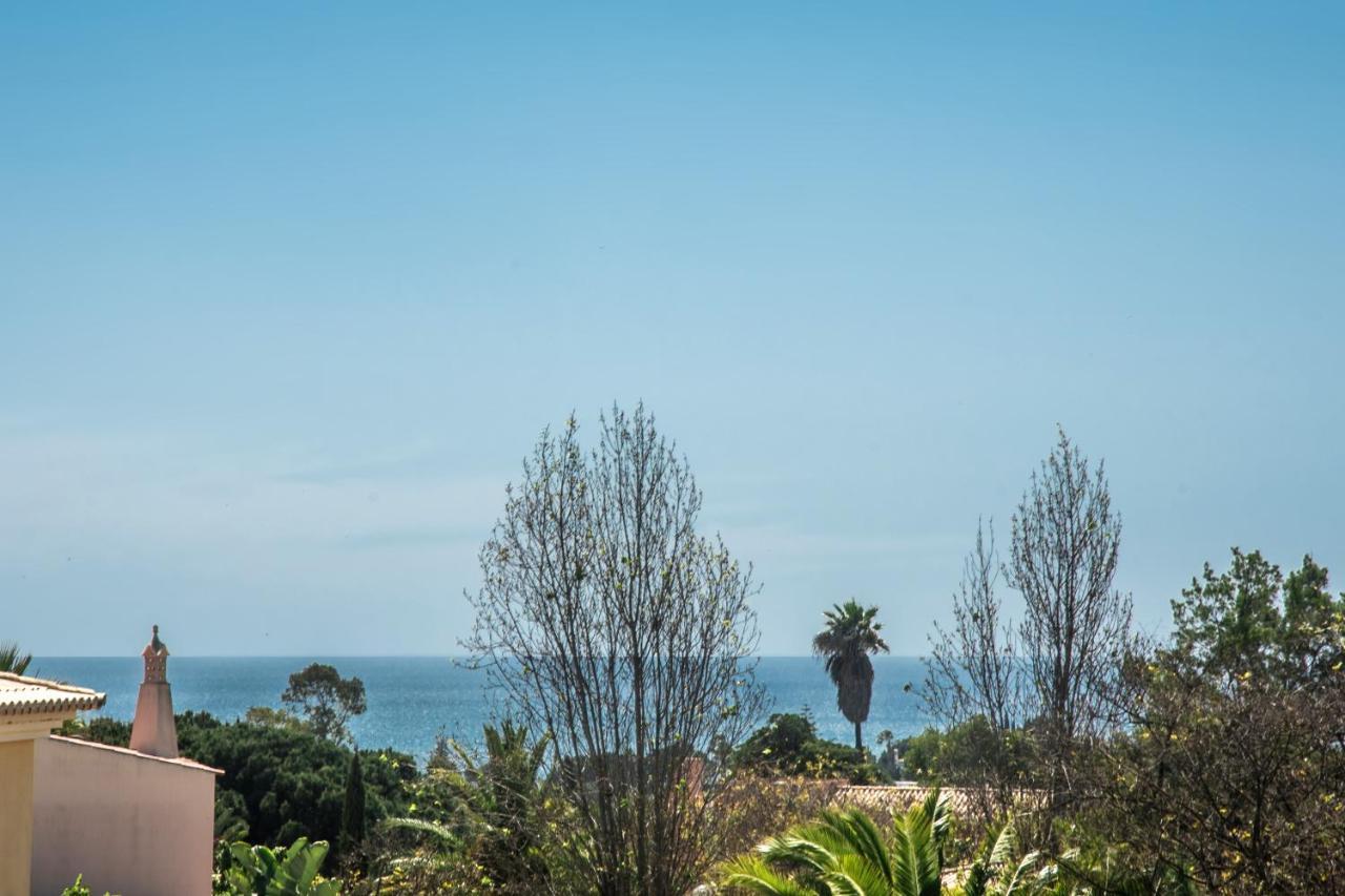 Carvoeiro Miguel